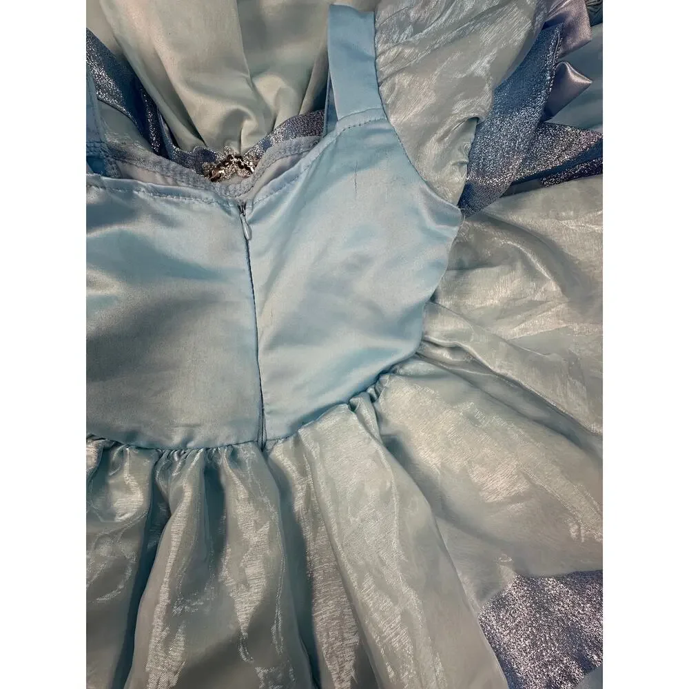 Disney Princess Cinderella Costume Gown Foil Carriage Sparkle Glitz
